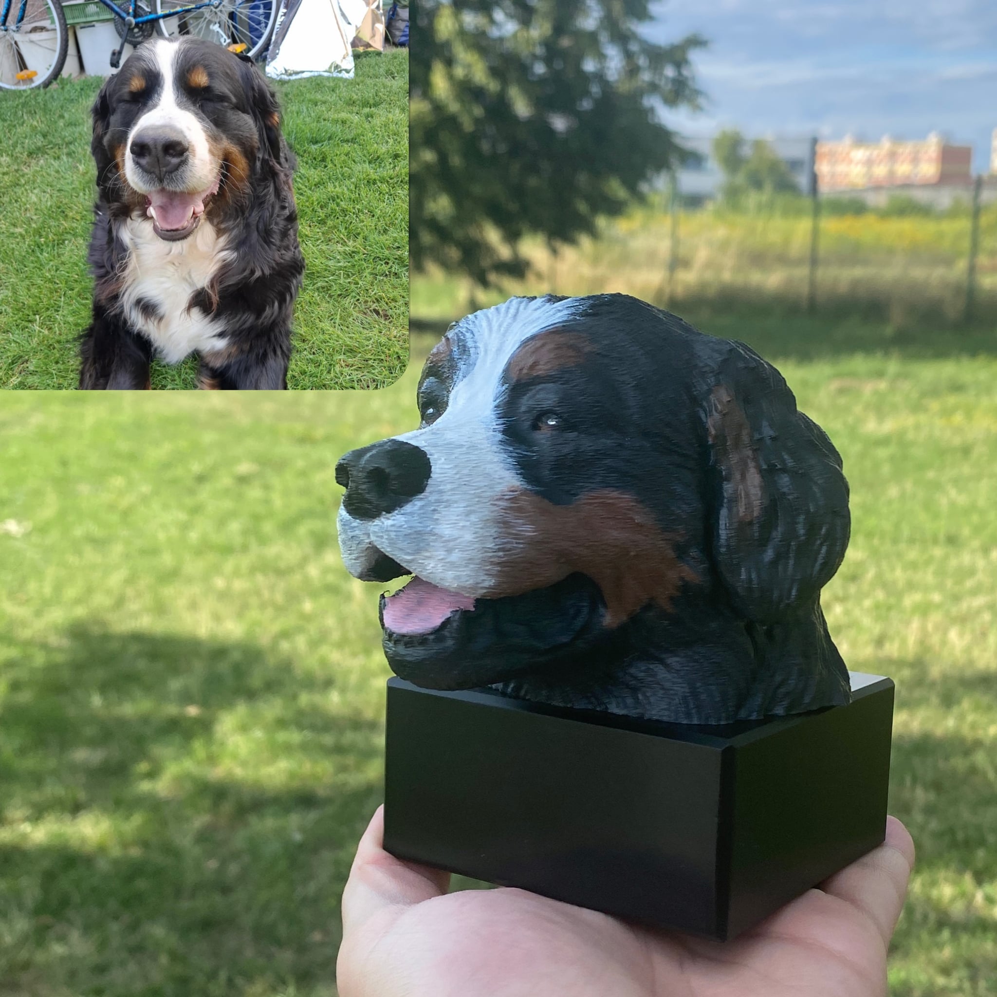 Dog 5