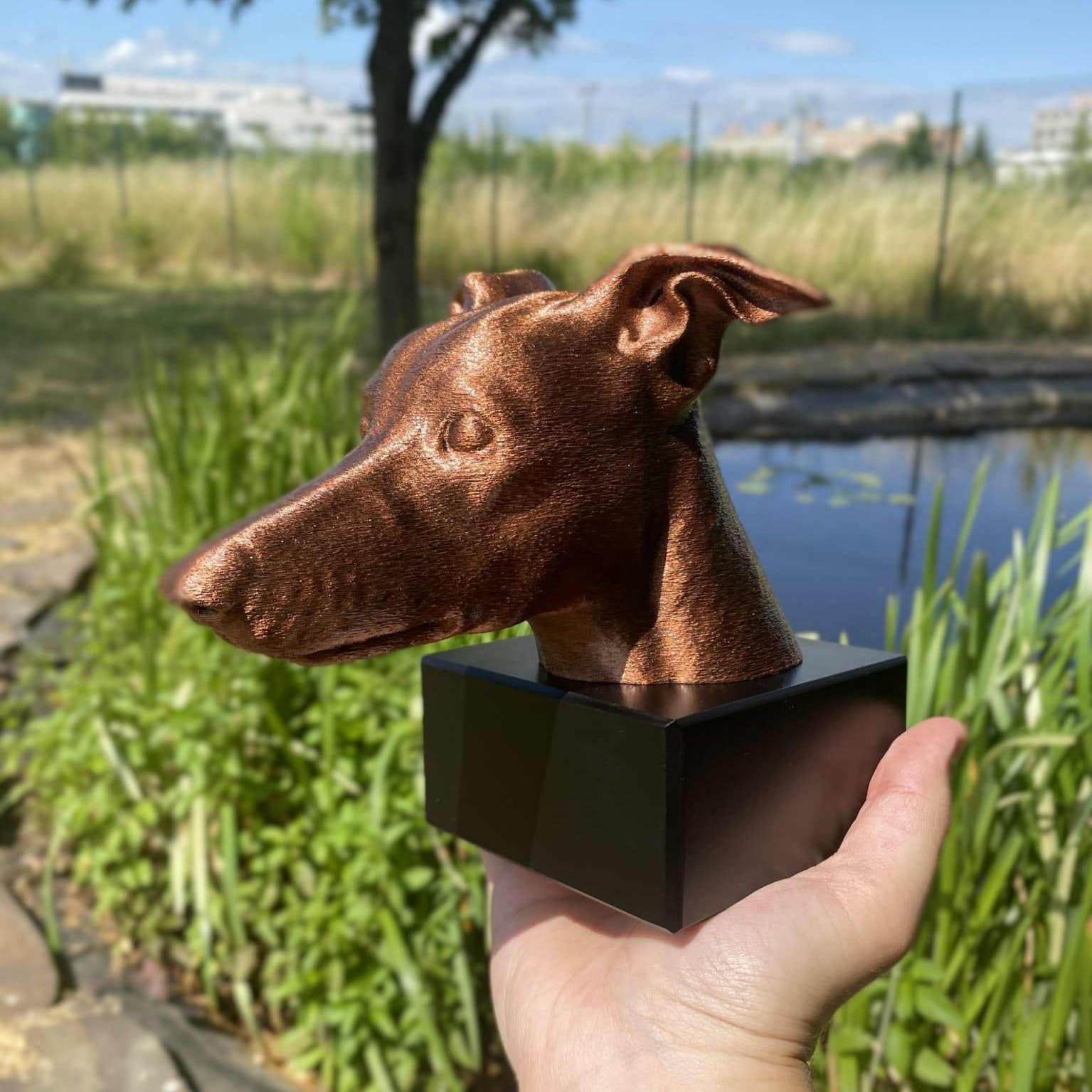 Dog 7