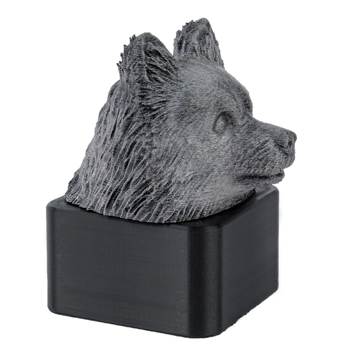 Pomeranian