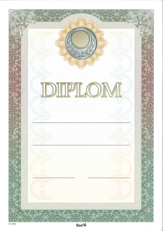 DIPLOM_3058 - Diplom A4