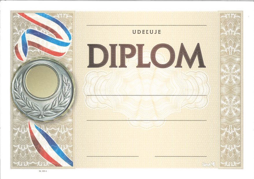 DIPLOM_3054 - Diplom A4