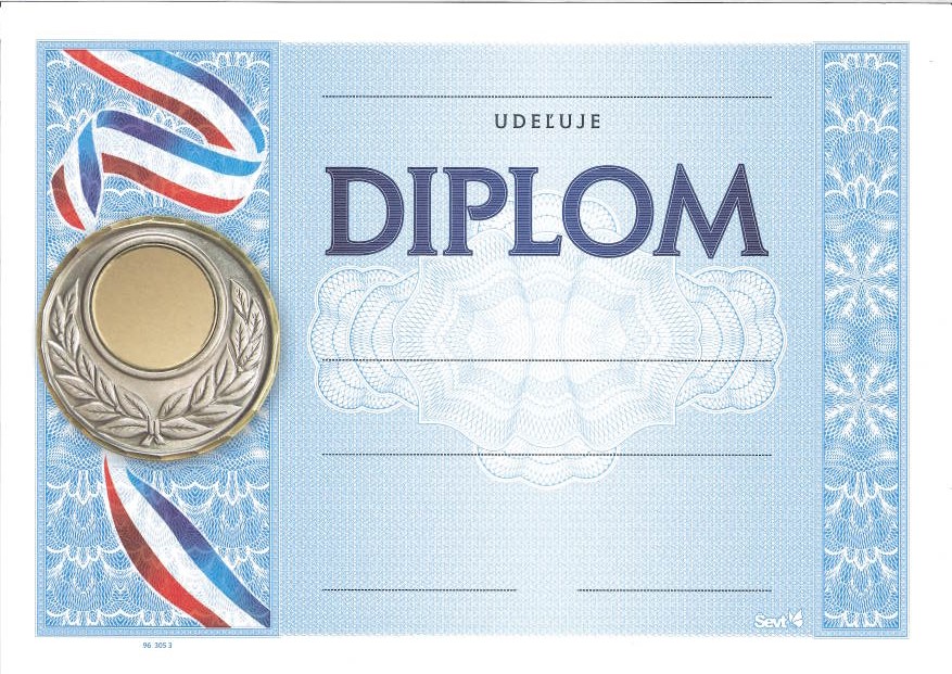 DIPLOM_3053 - Diplom A4