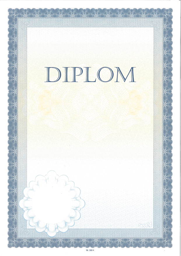 DIPLOM_3084 - Diplom A4
