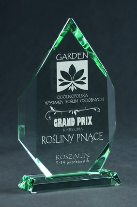 G018 - Sklenená trofej + obal H-27cm