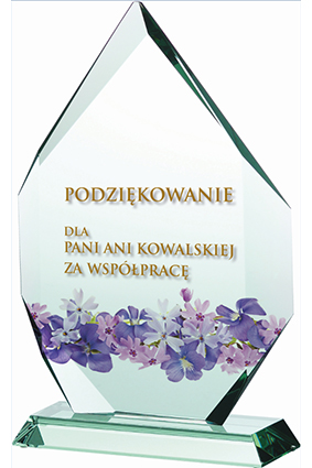 G018 - Sklenená trofej + obal H-27cm