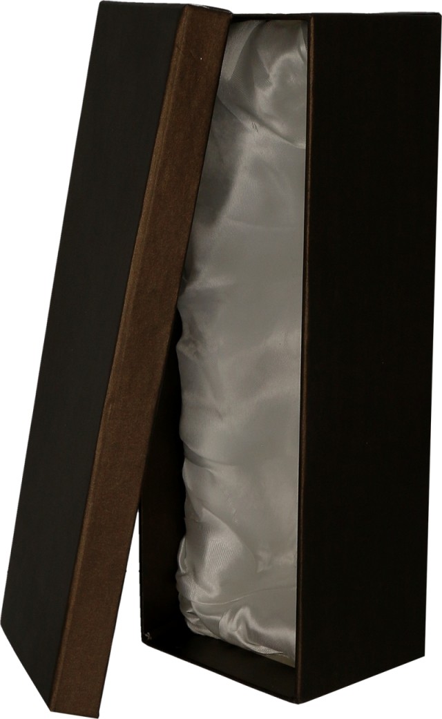 C058 - Sklenená trofej 25x6 cm + obal