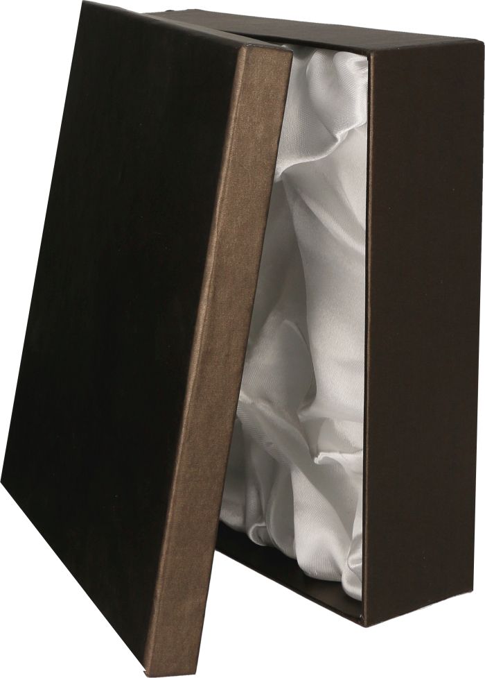 C059 - Sklenená trofej 20x18 cm + obal