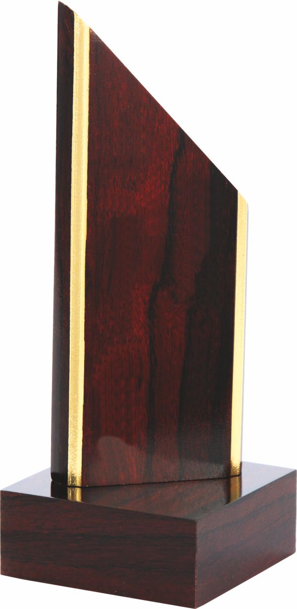 TROF1A - Trofej drevená H-23cm