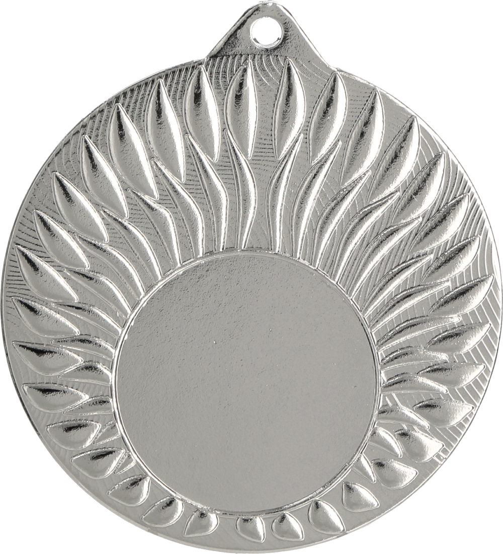 MMC24050/B - Medaila (pr.50 mm, hr.2 mm) bronz