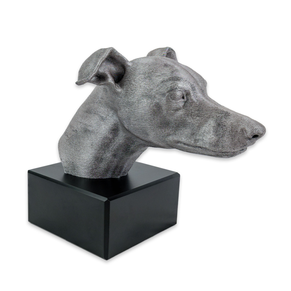 Whippet