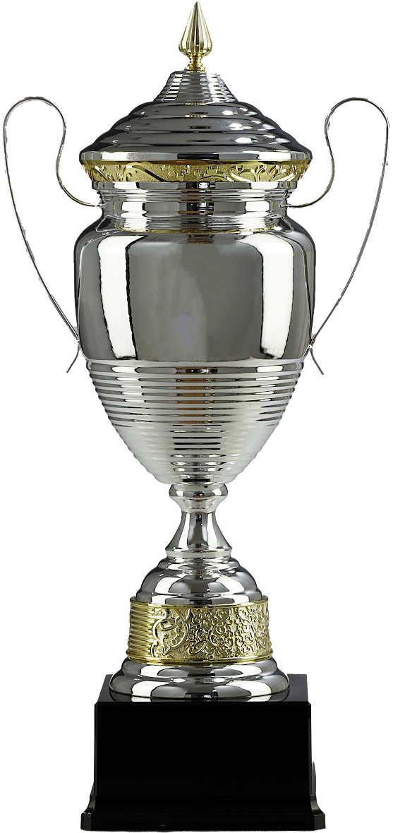 1072A - Pohár s krytom strieborno-zlatý H-71 cm, R-20 cm