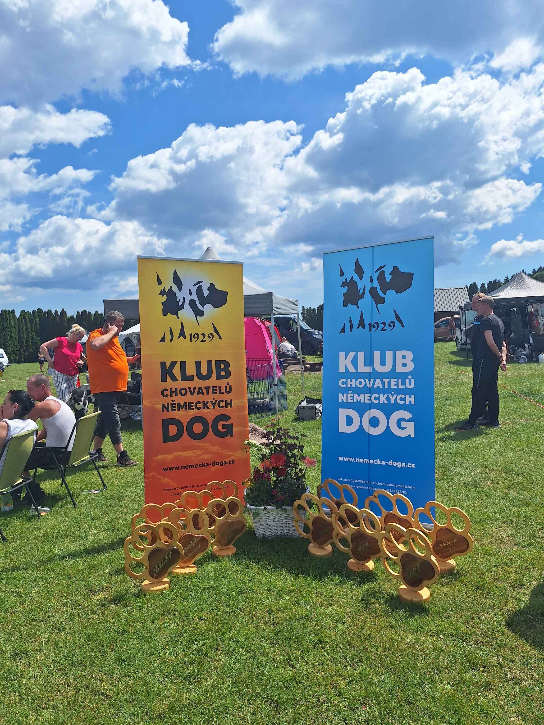 skvely-den-na-56-klubovej-vystave-nemeckych-dog-v-kempe-olsovec-gallery-image-78395